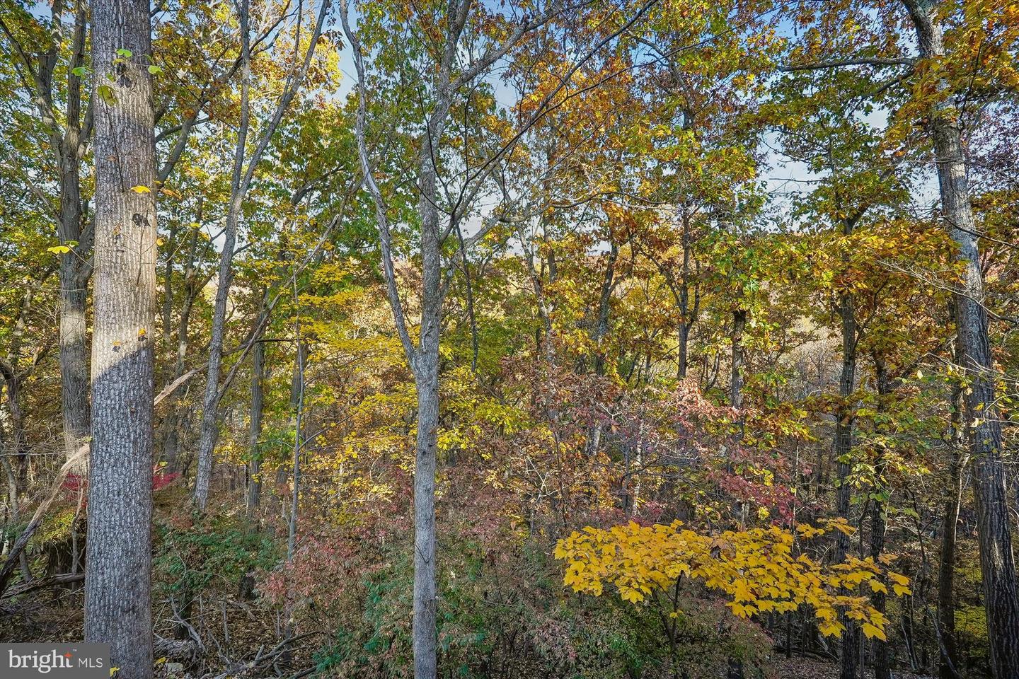 598 Timber Ln Property Photo 10