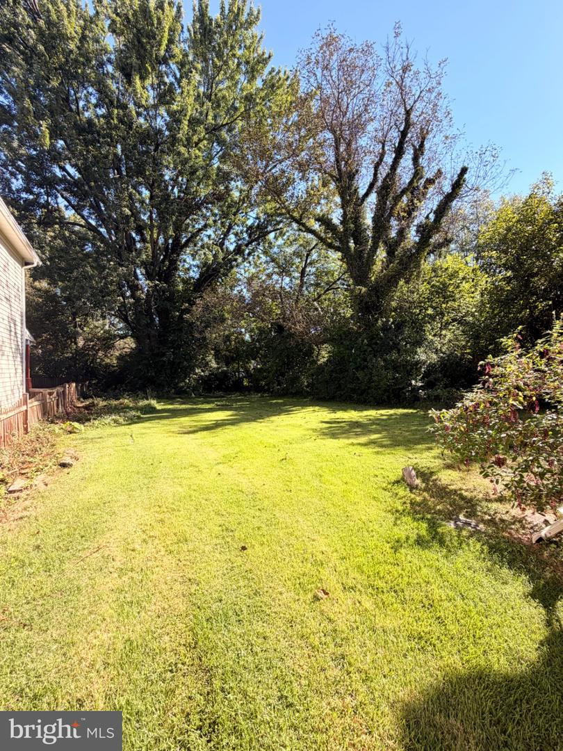 22 Bundy St Property Photo 6