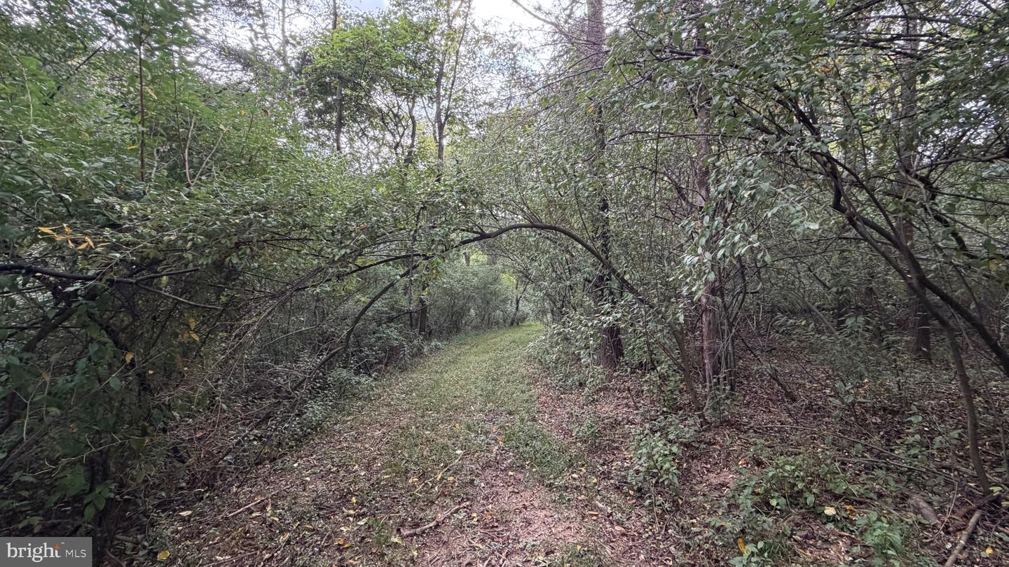 2983 Old Winchester Rd Property Photo 81