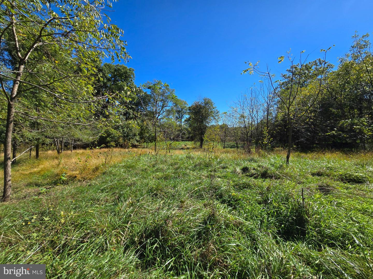 1769 Lewisville Rd Property Photo 21