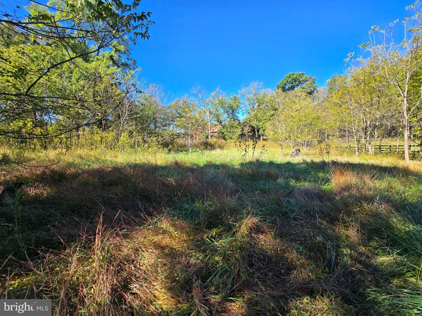 1769 Lewisville Rd Property Photo 23