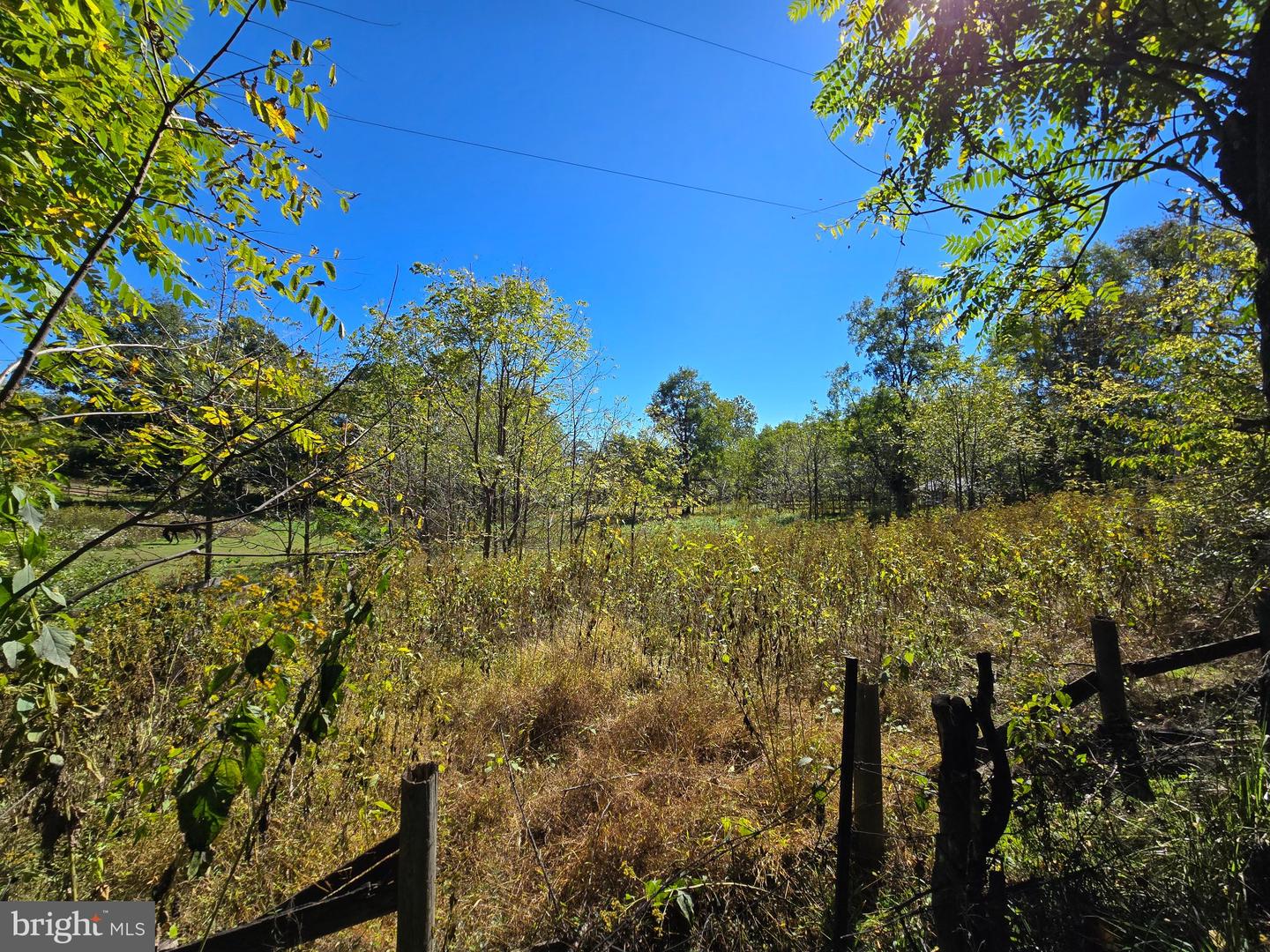 1769 Lewisville Rd Property Photo 27