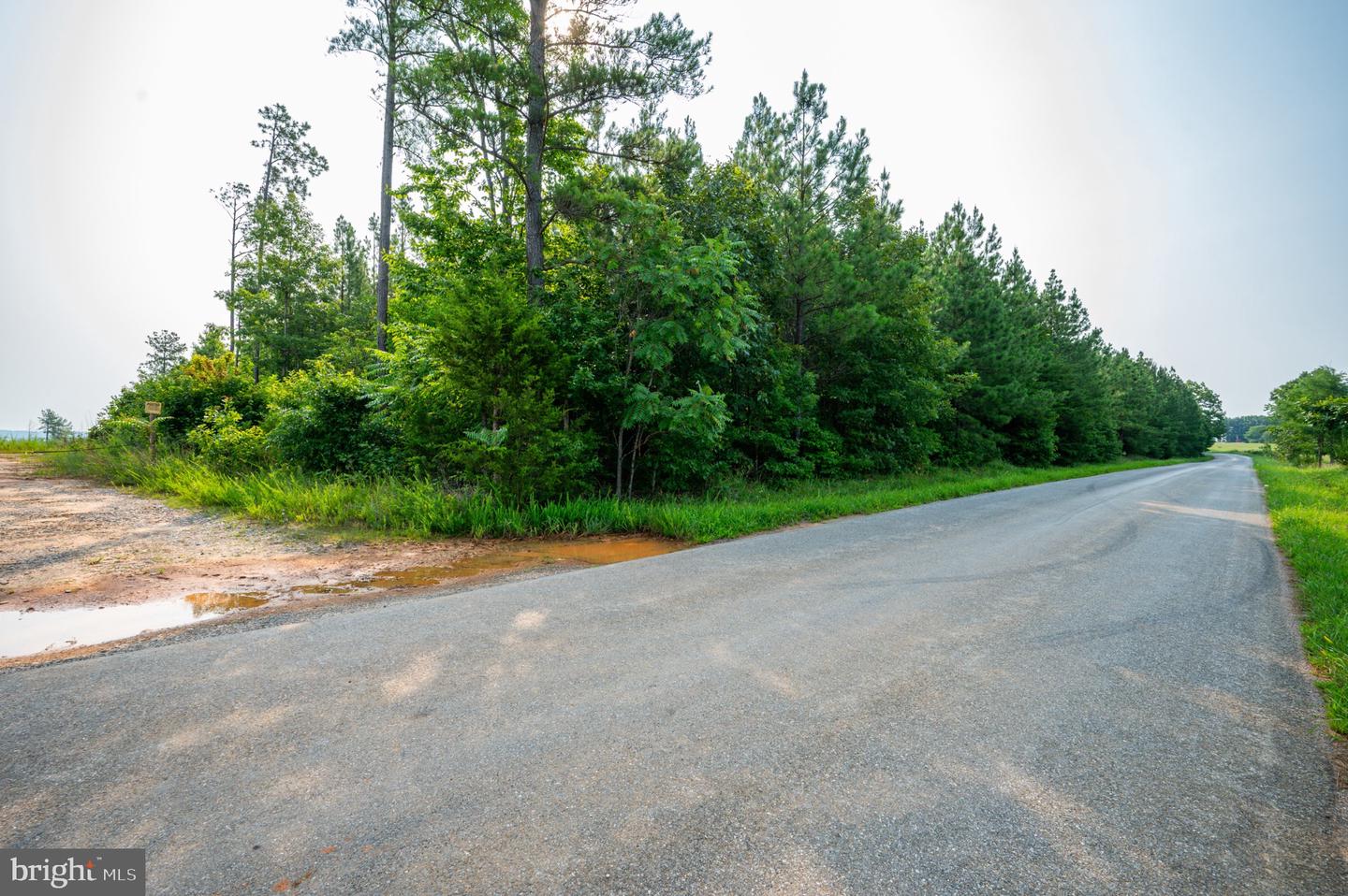 Wyatt Miles Rd Property Photo 4