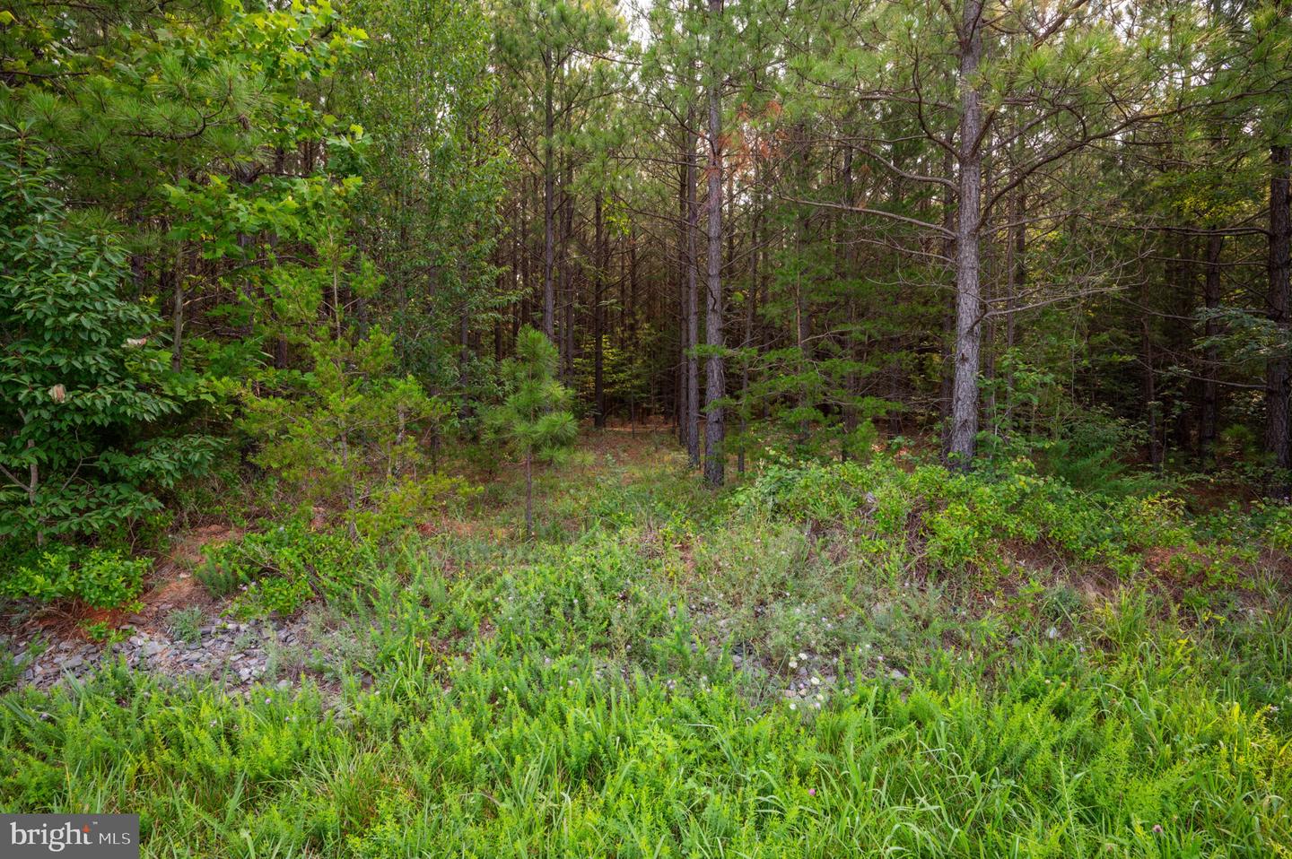 Wyatt Miles Rd Property Photo 7
