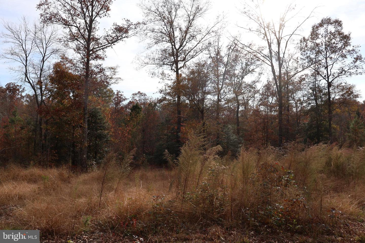 2931 Little Buck Trl Property Photo 22