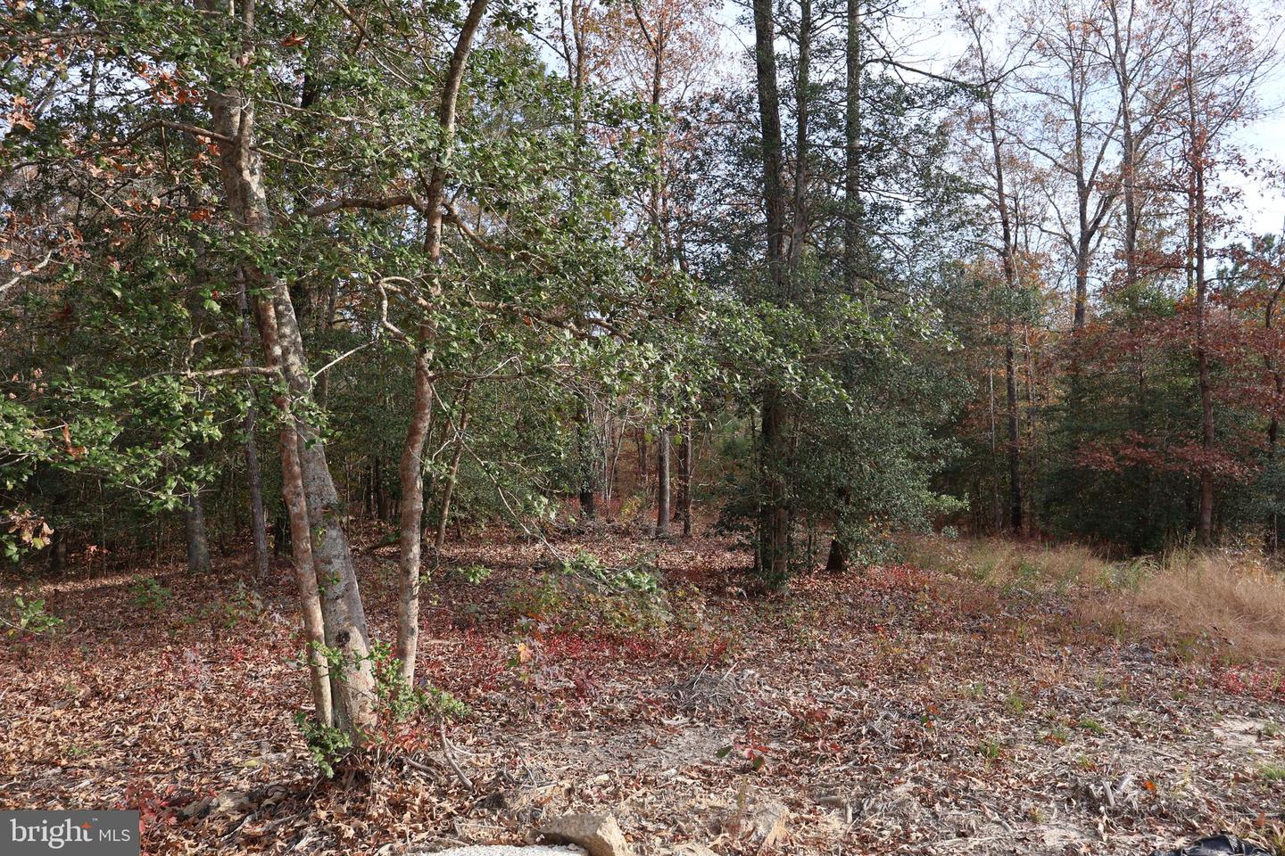2931 Little Buck Trl Property Photo 23