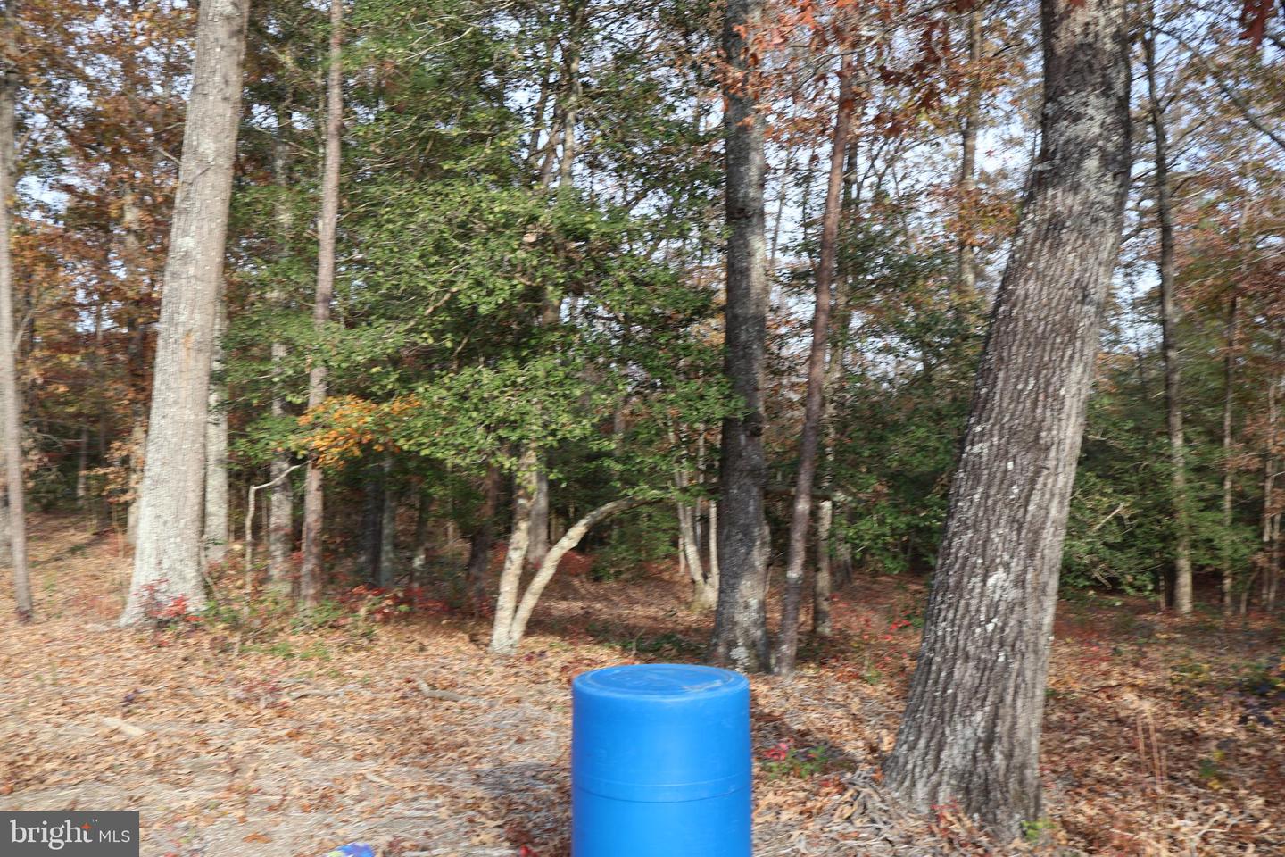2931 Little Buck Trl Property Photo 24