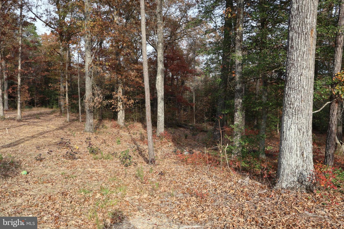 2931 Little Buck Trl Property Photo 27