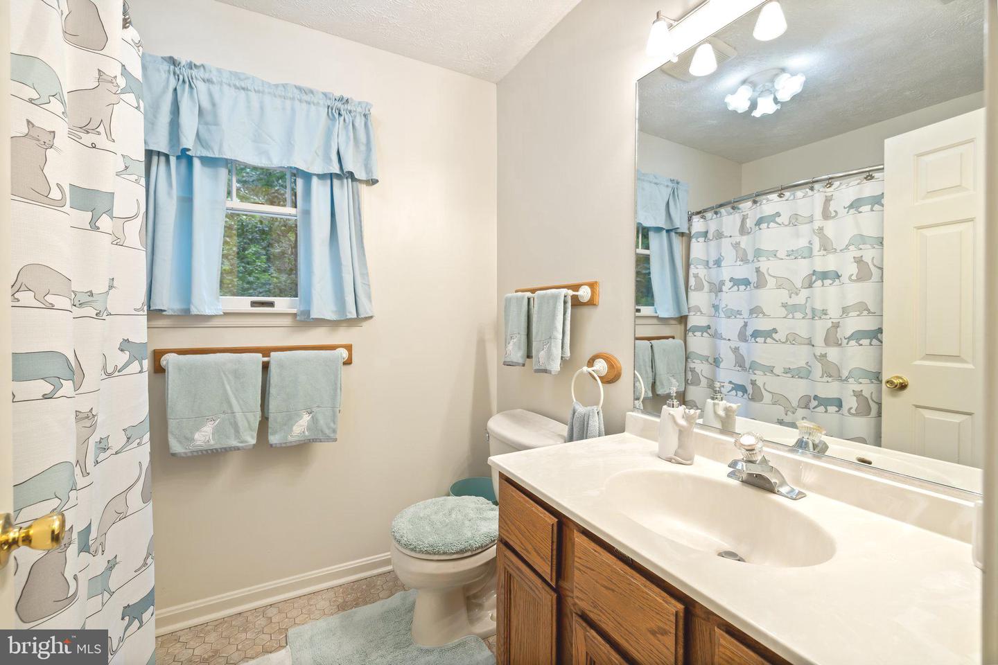 9128 Woodbrook Ln Property Photo 26