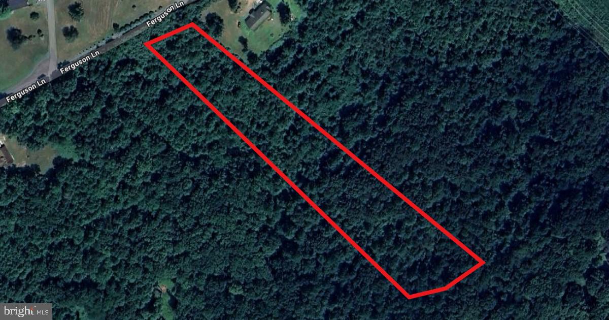 0 Ferguson Ln Property Photo