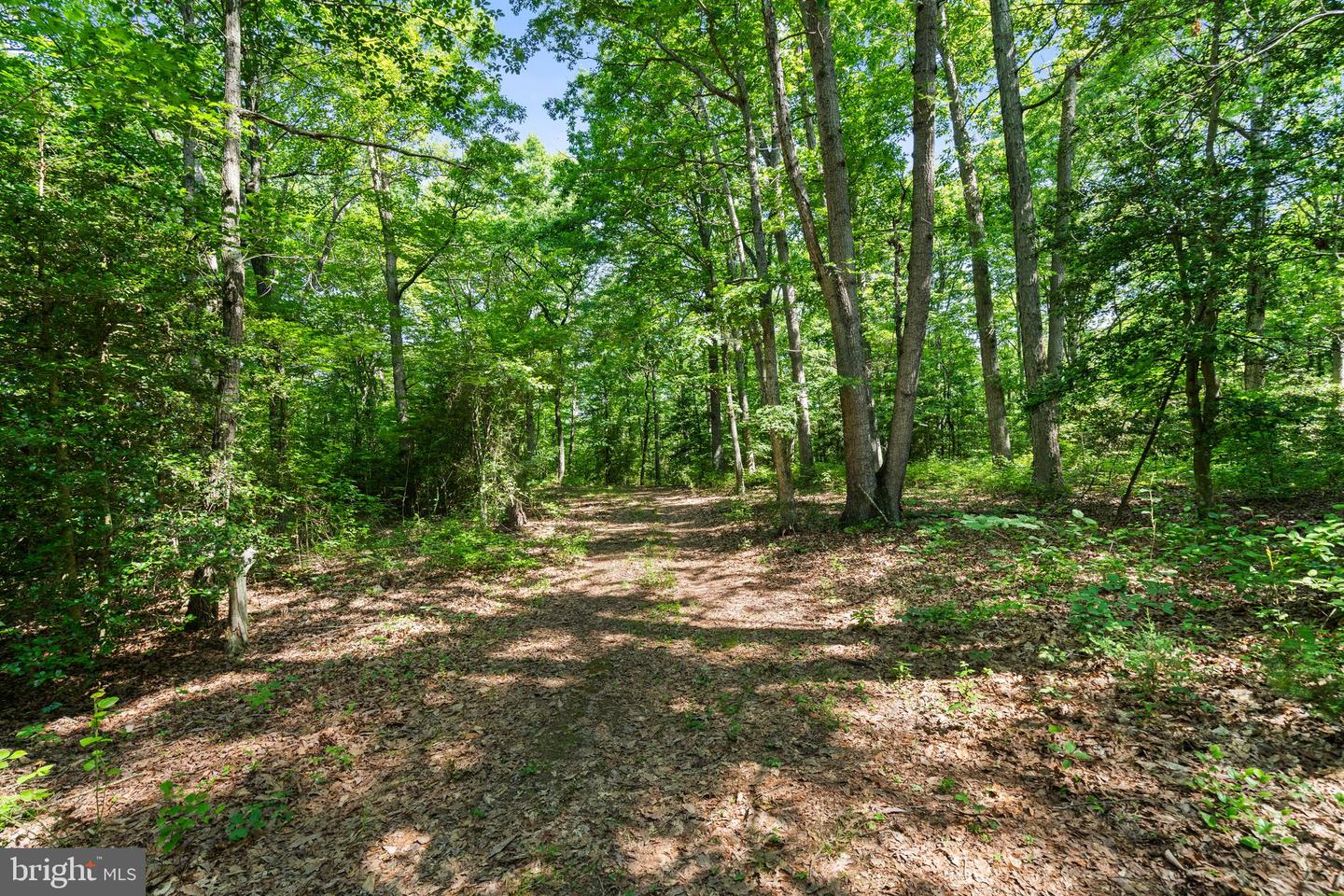 Parcel 4 (tax Id 7-41g) Ellett Ln Property Photo 8