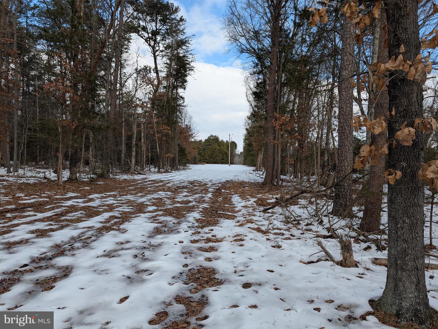 Rapidan Road Property Photo 5