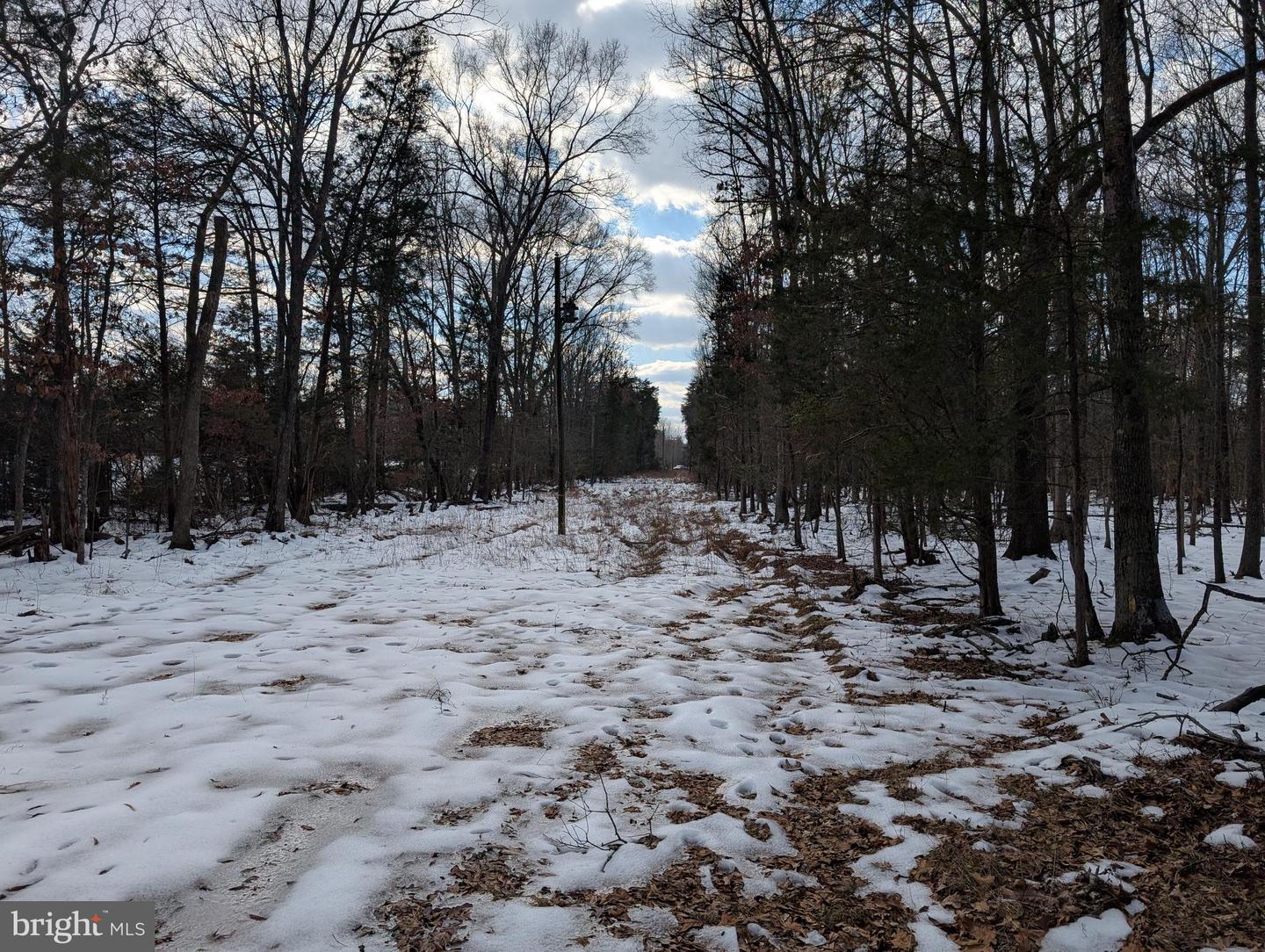 Rapidan Road Property Photo 6