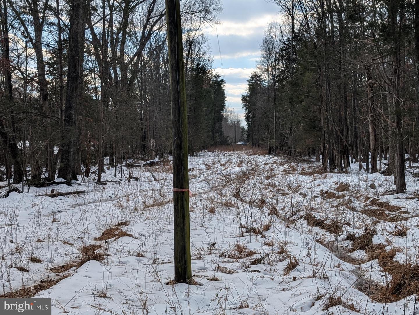Rapidan Road Property Photo 7