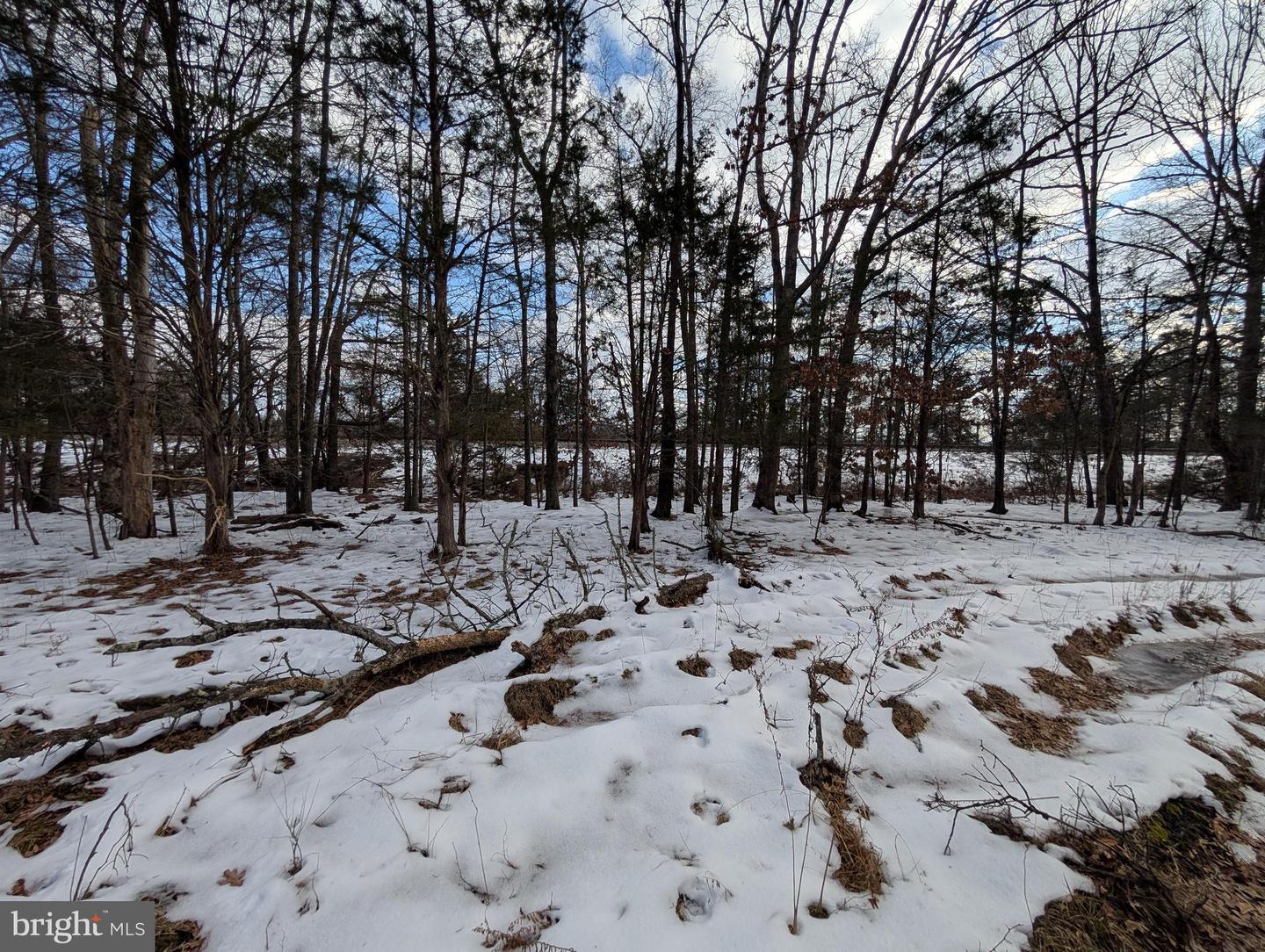 Rapidan Road Property Photo 8