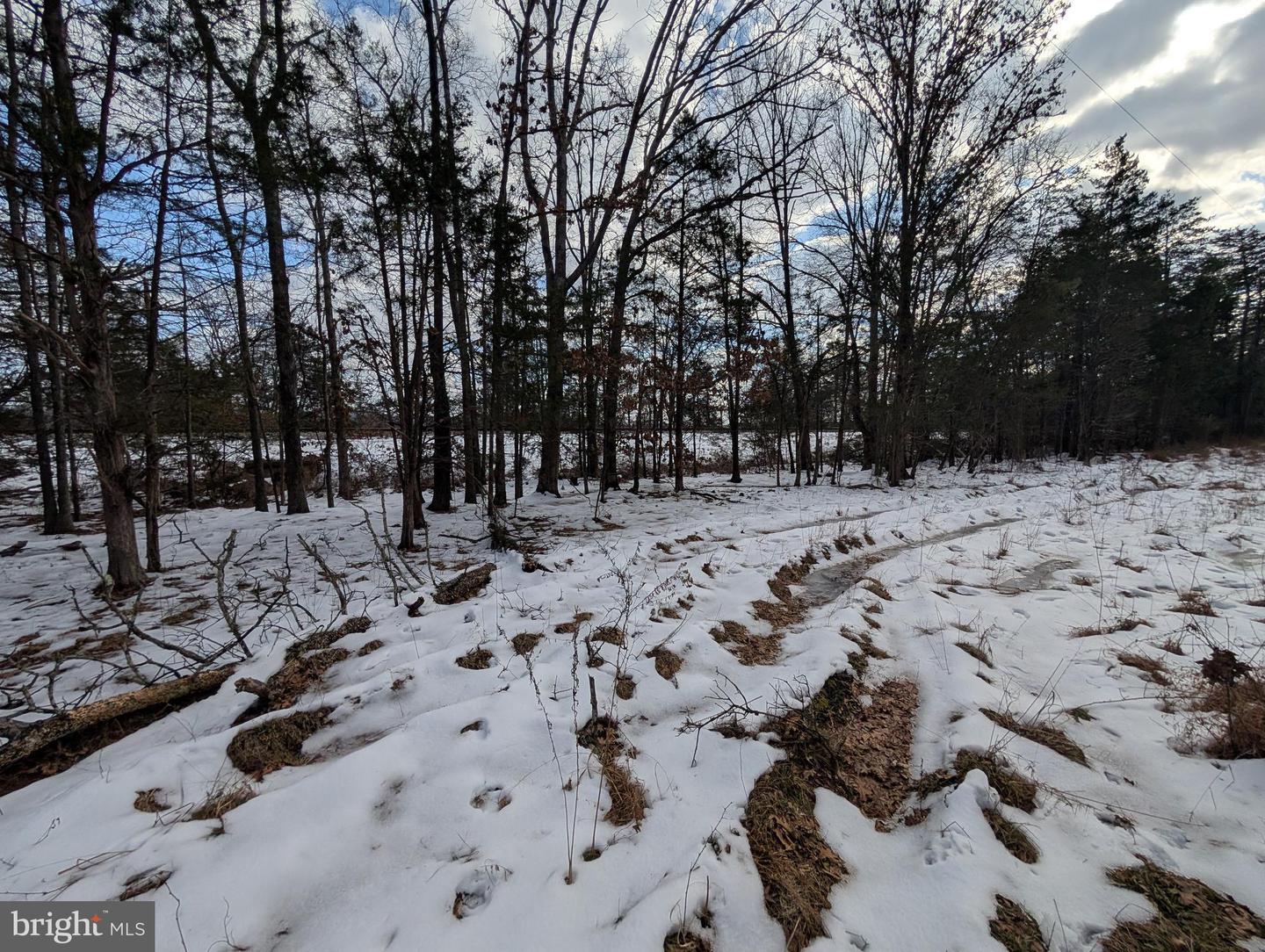 Rapidan Road Property Photo 9