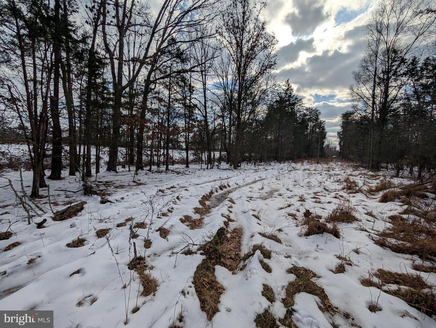 Rapidan Road Property Photo 10