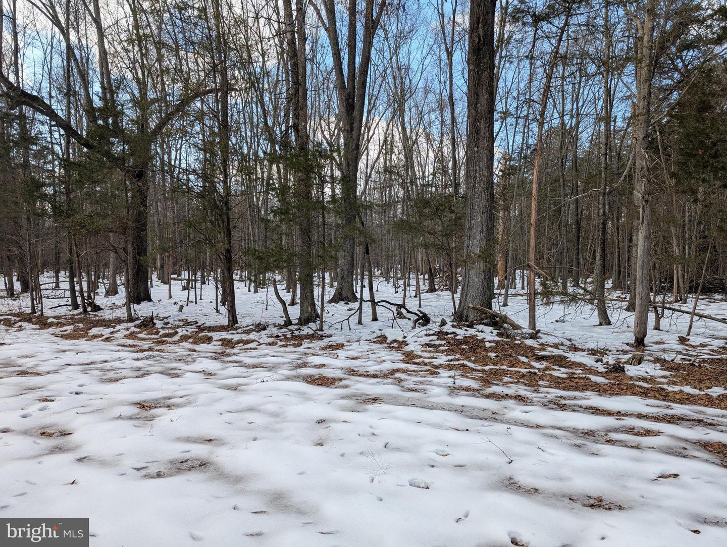 Rapidan Road Property Photo 11