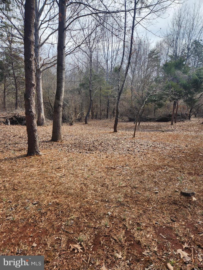 36 Deer Lane Property Photo
