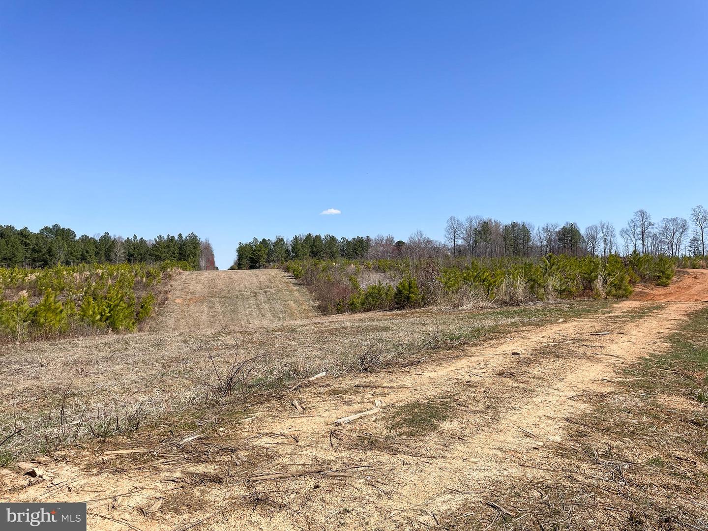 Yellowbottom Rd Property Photo 3
