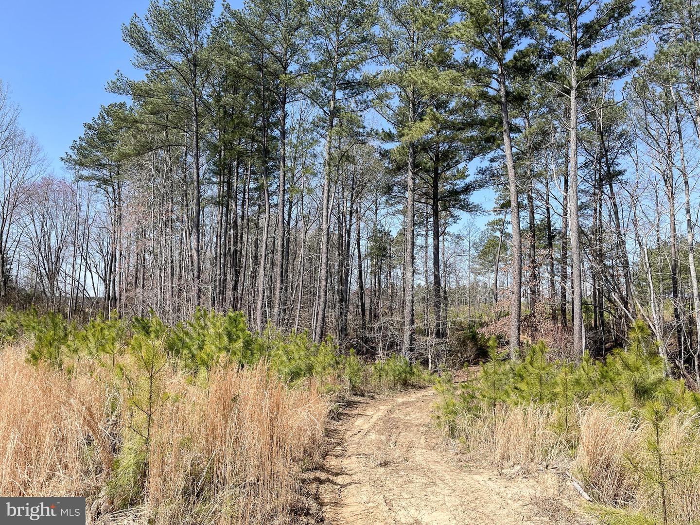 Yellowbottom Rd Property Photo 4