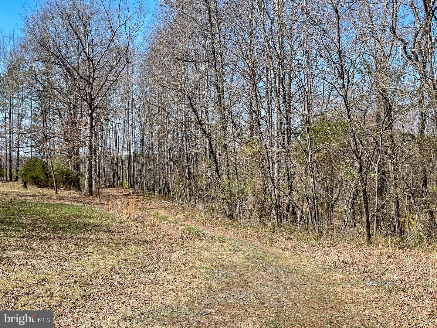 Yellowbottom Rd Property Photo 8