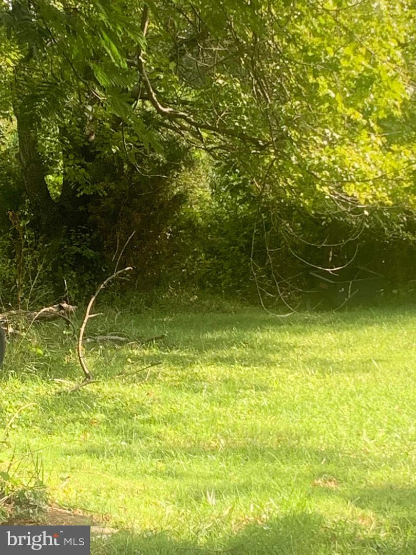 934 Sperryville Property Photo 4