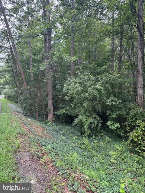 Scotts Mill Property Photo 1