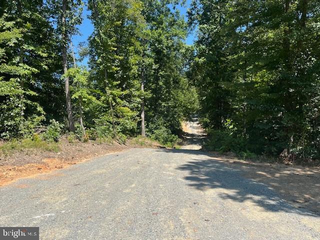 34 Timber Ridge Trail Property Photo 3