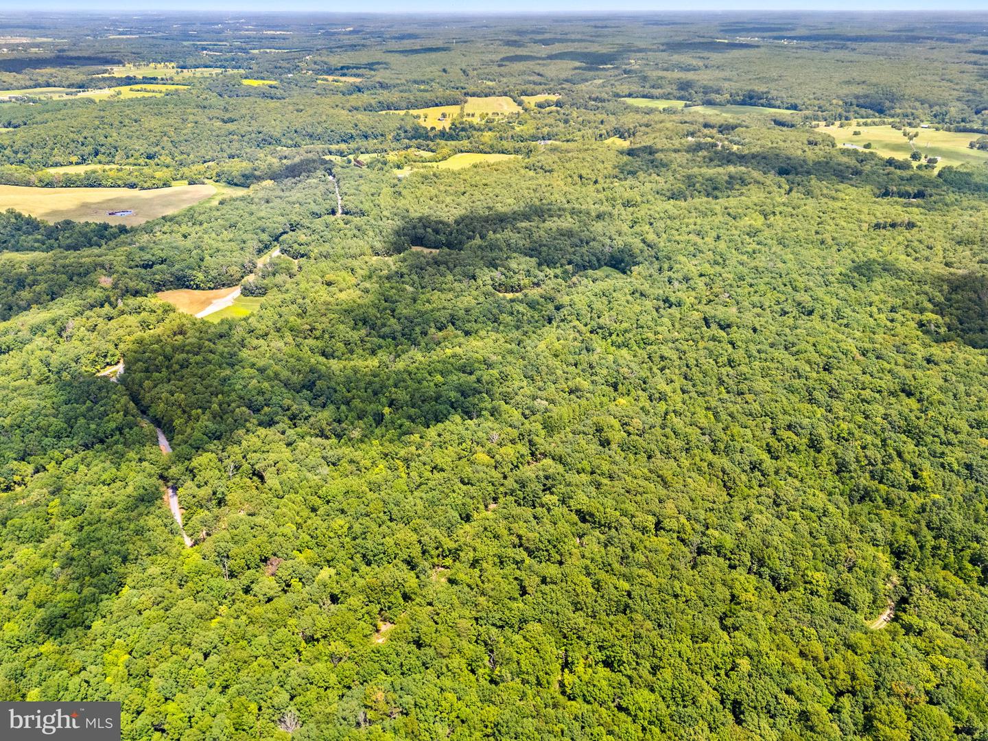 Lot 16 Kipps Property Photo 7