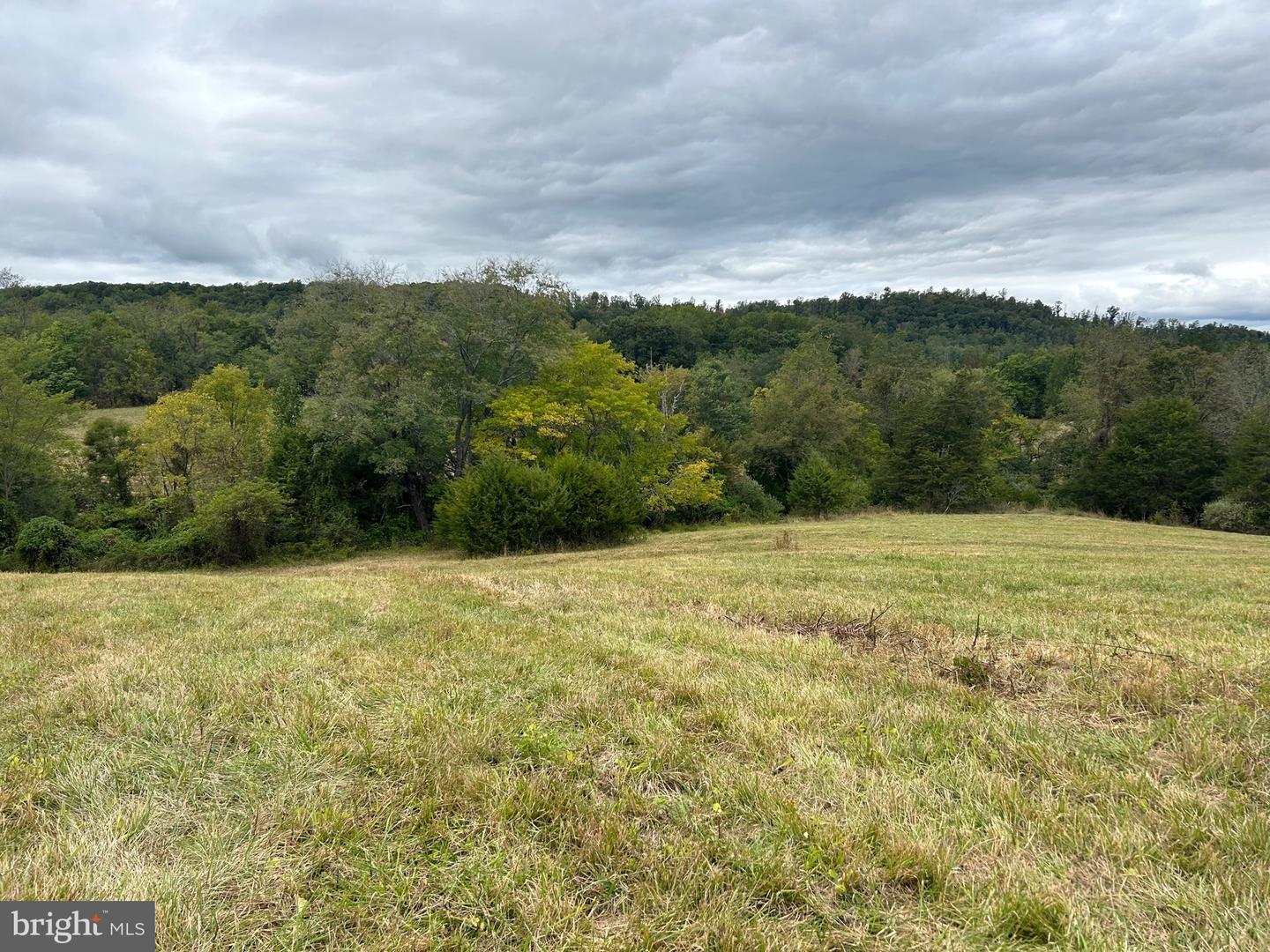27188 Hoopers Run Ln Property Photo 2