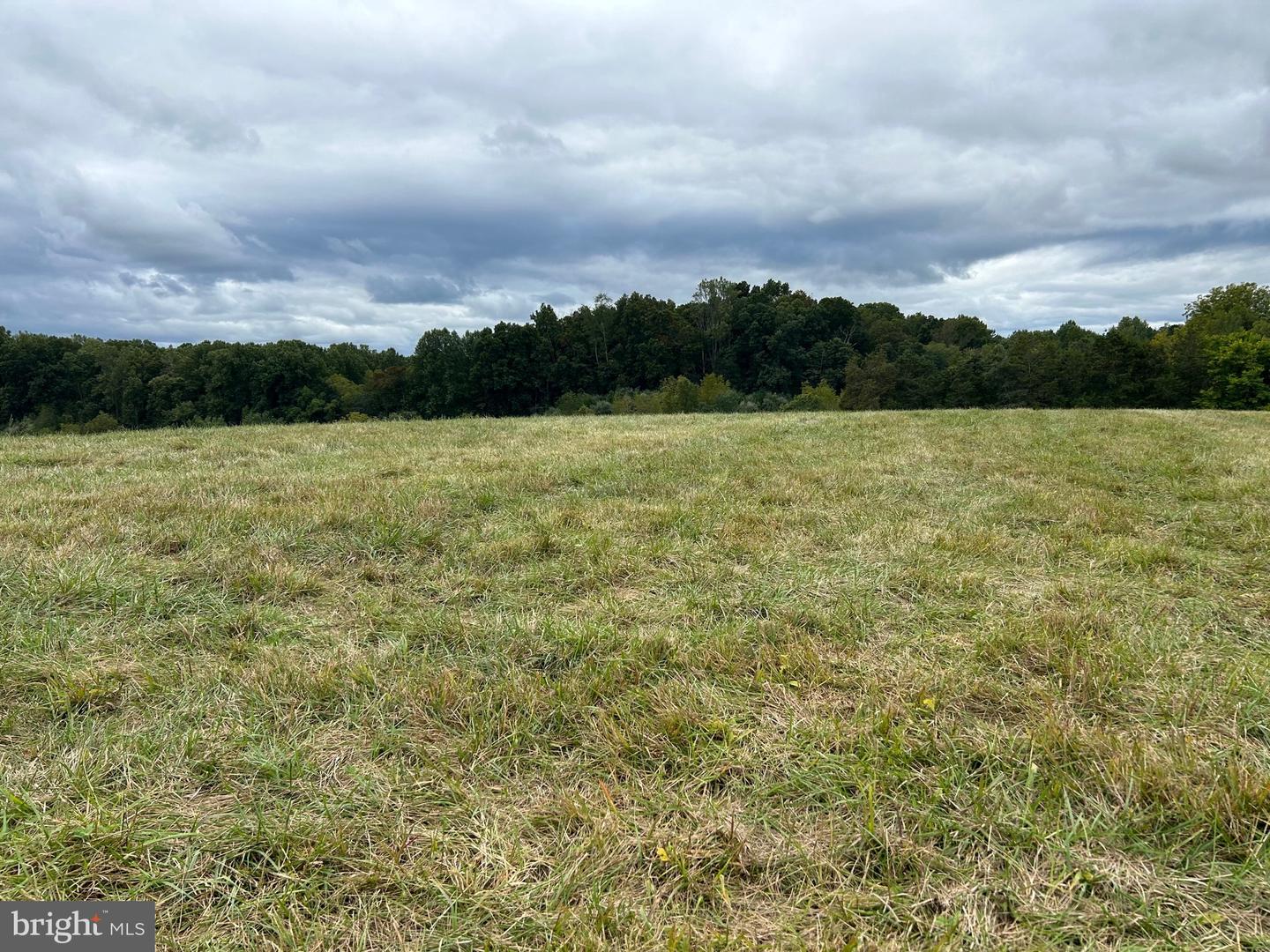 27188 Hoopers Run Ln Property Photo 19