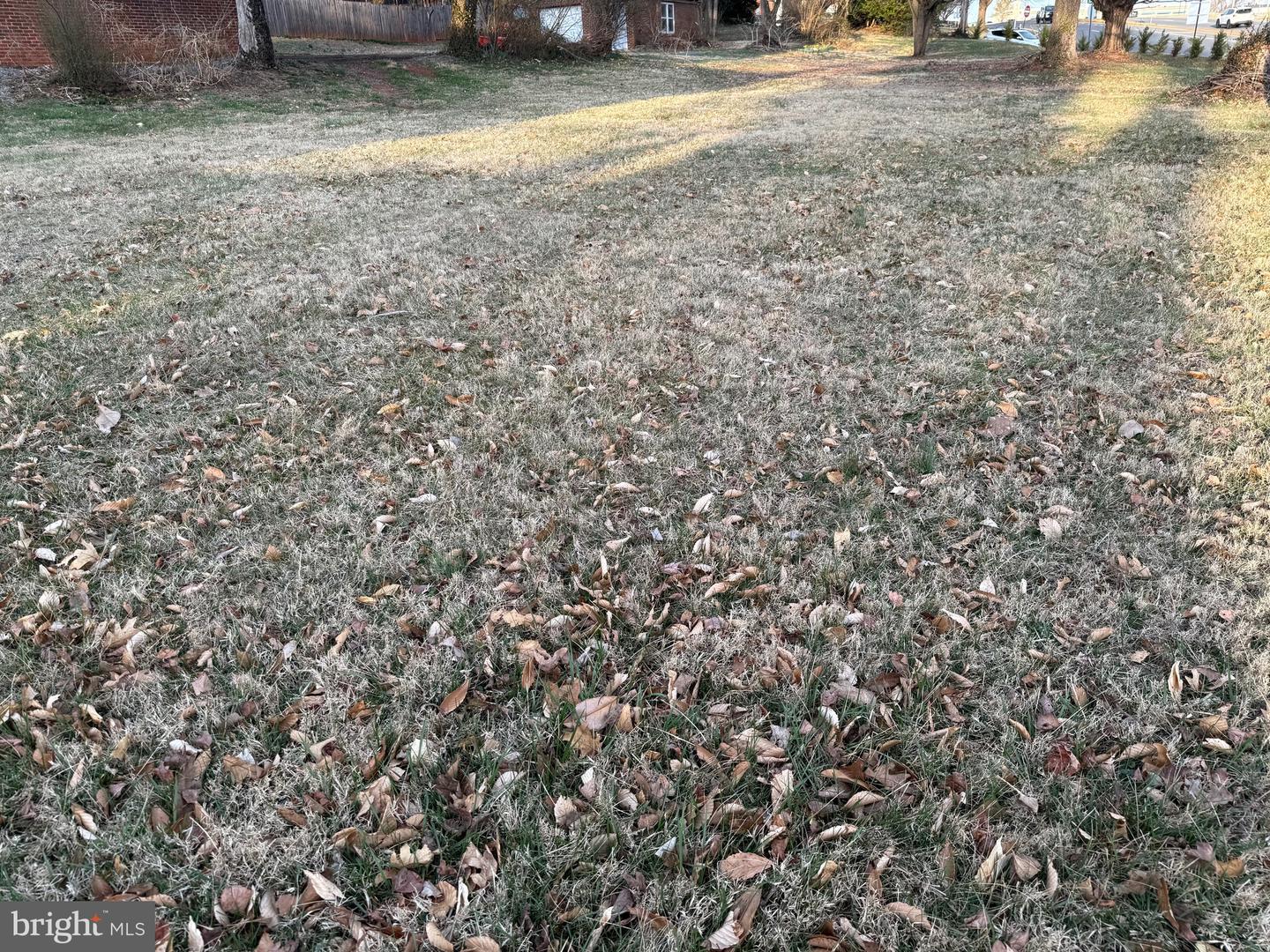 Madison Rd Property Photo 5