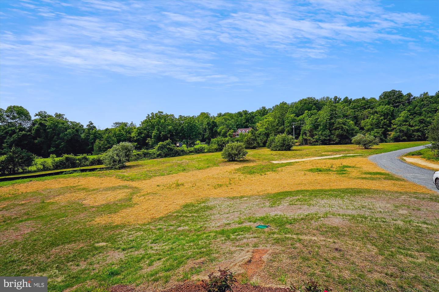 11 Acres Fields Mill Property Photo 8