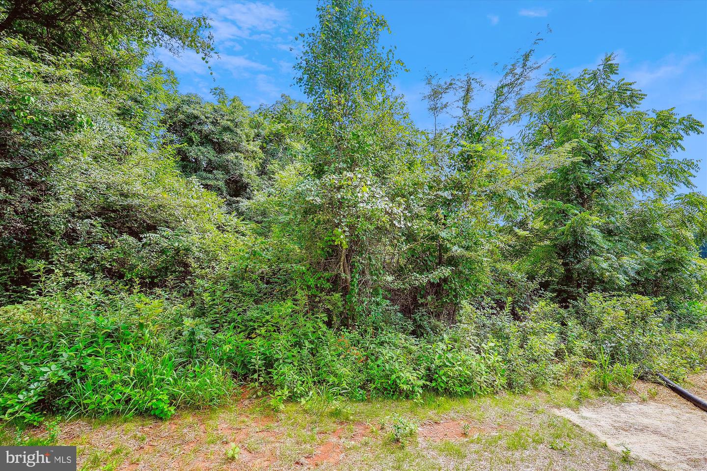 11 Acres Fields Mill Property Photo 12