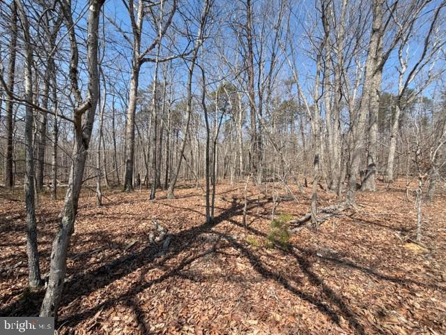 Countryside Lane - Lot 1 Property Photo 1