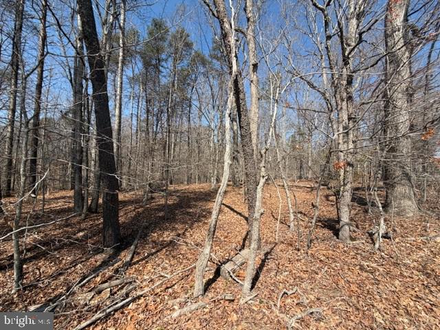 Countryside Lane - Lot 2 Property Photo 1