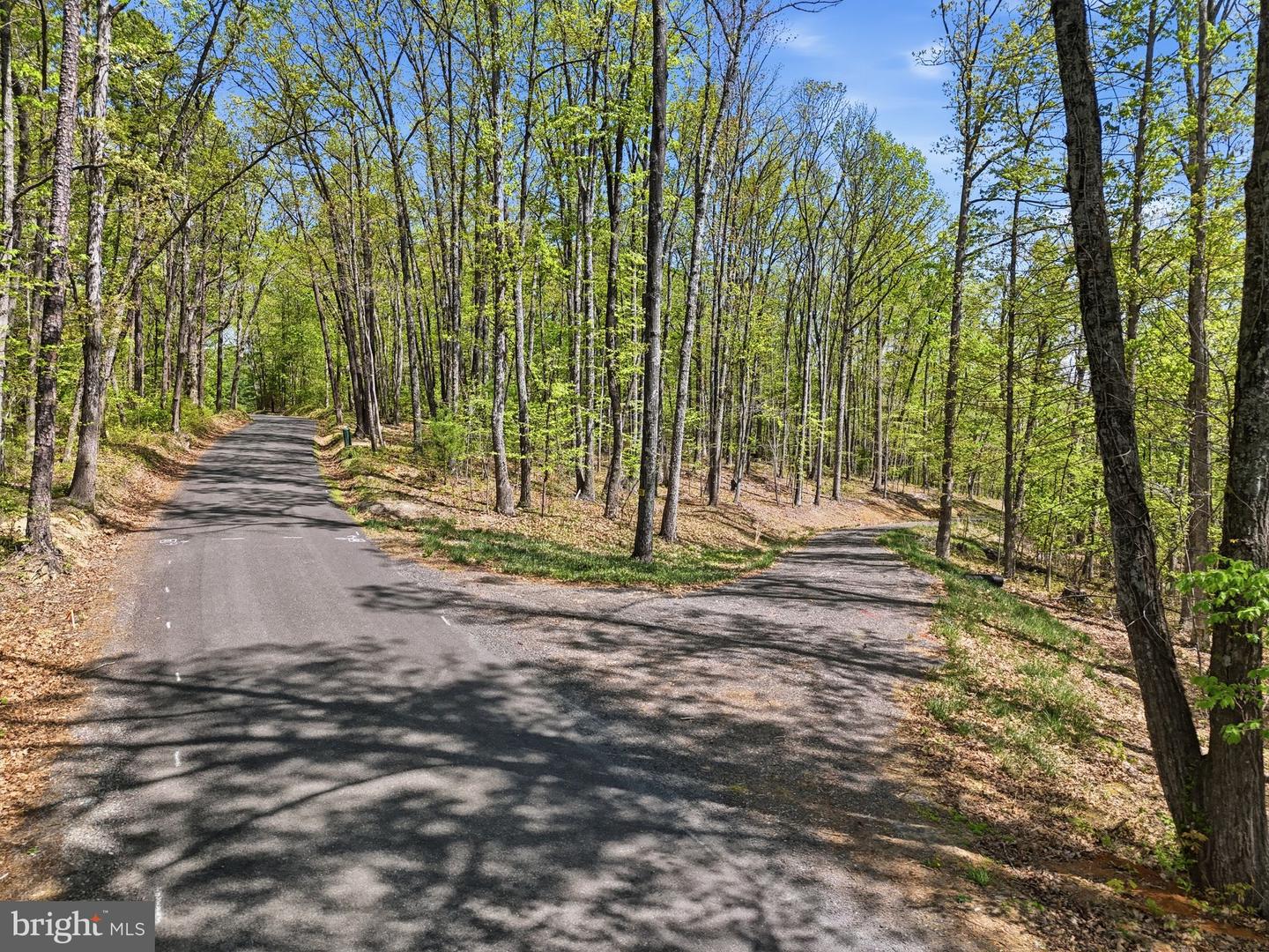Lot 3 Obannons Mill Rd Property Photo 11