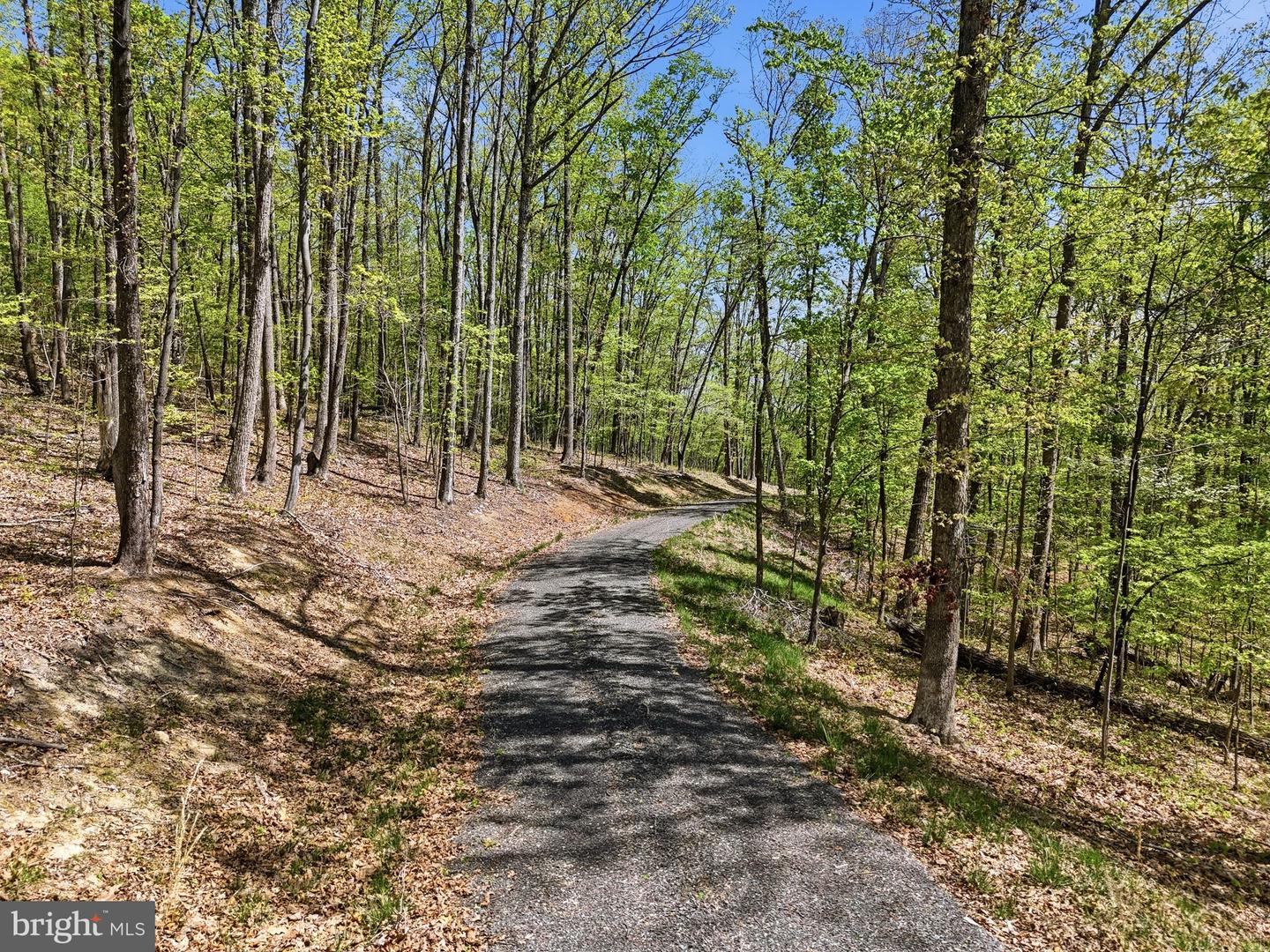 Lot 3 Obannons Mill Rd Property Photo 12