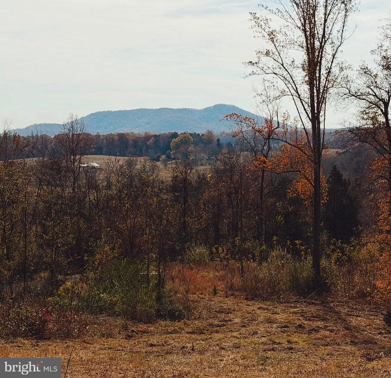 Reva Property Photo 2