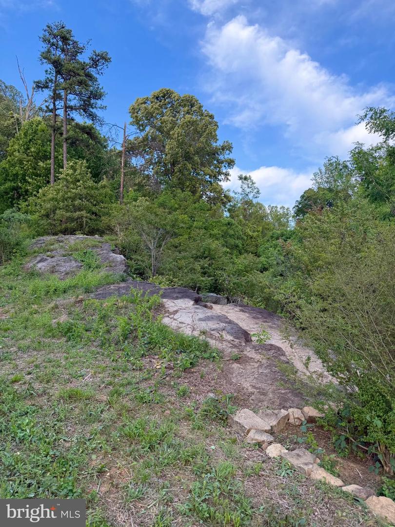 Reva Property Photo 4
