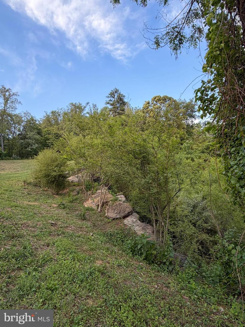 Reva Property Photo 7