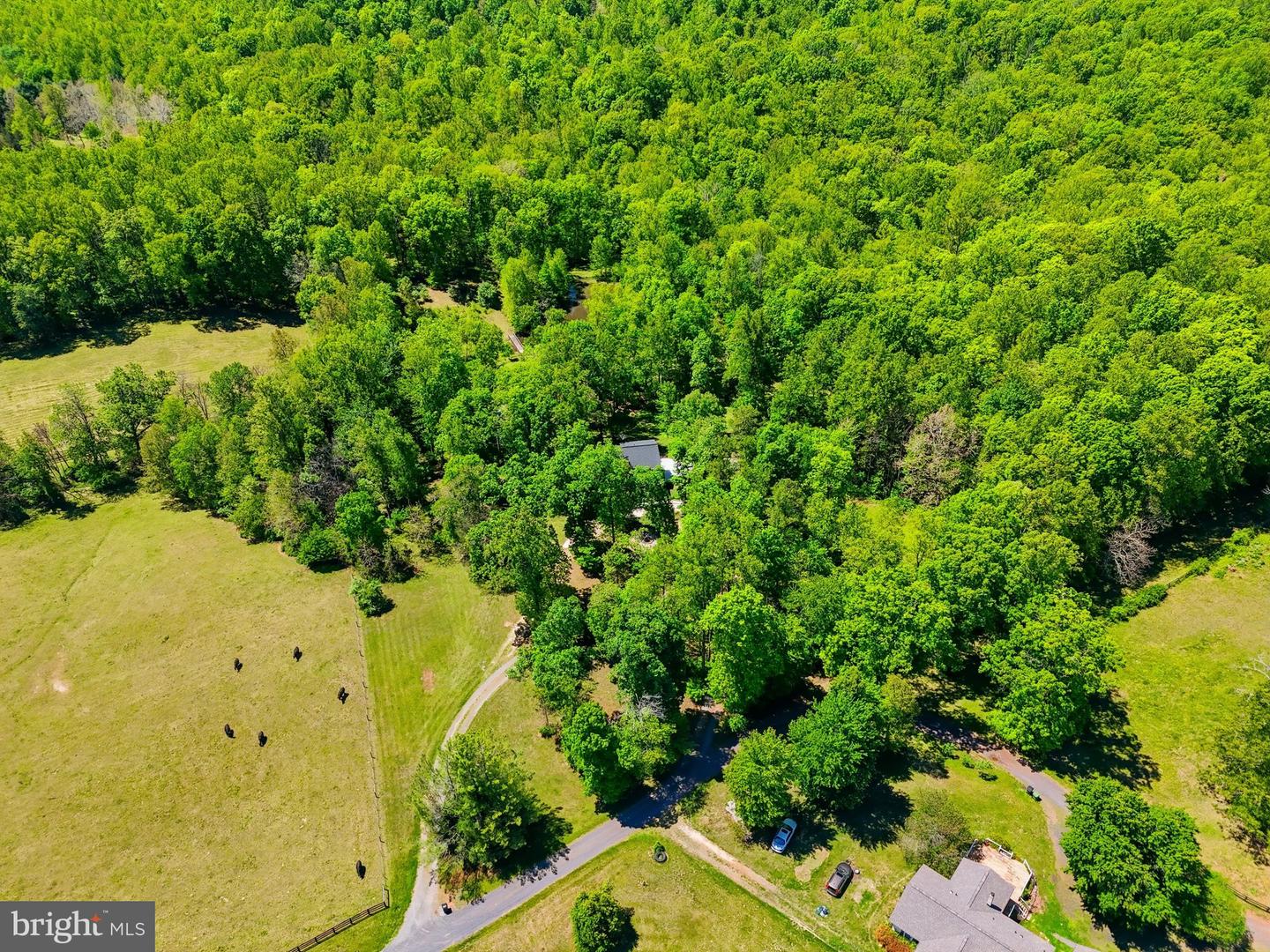 12638 Walnut Ln Property Photo 61