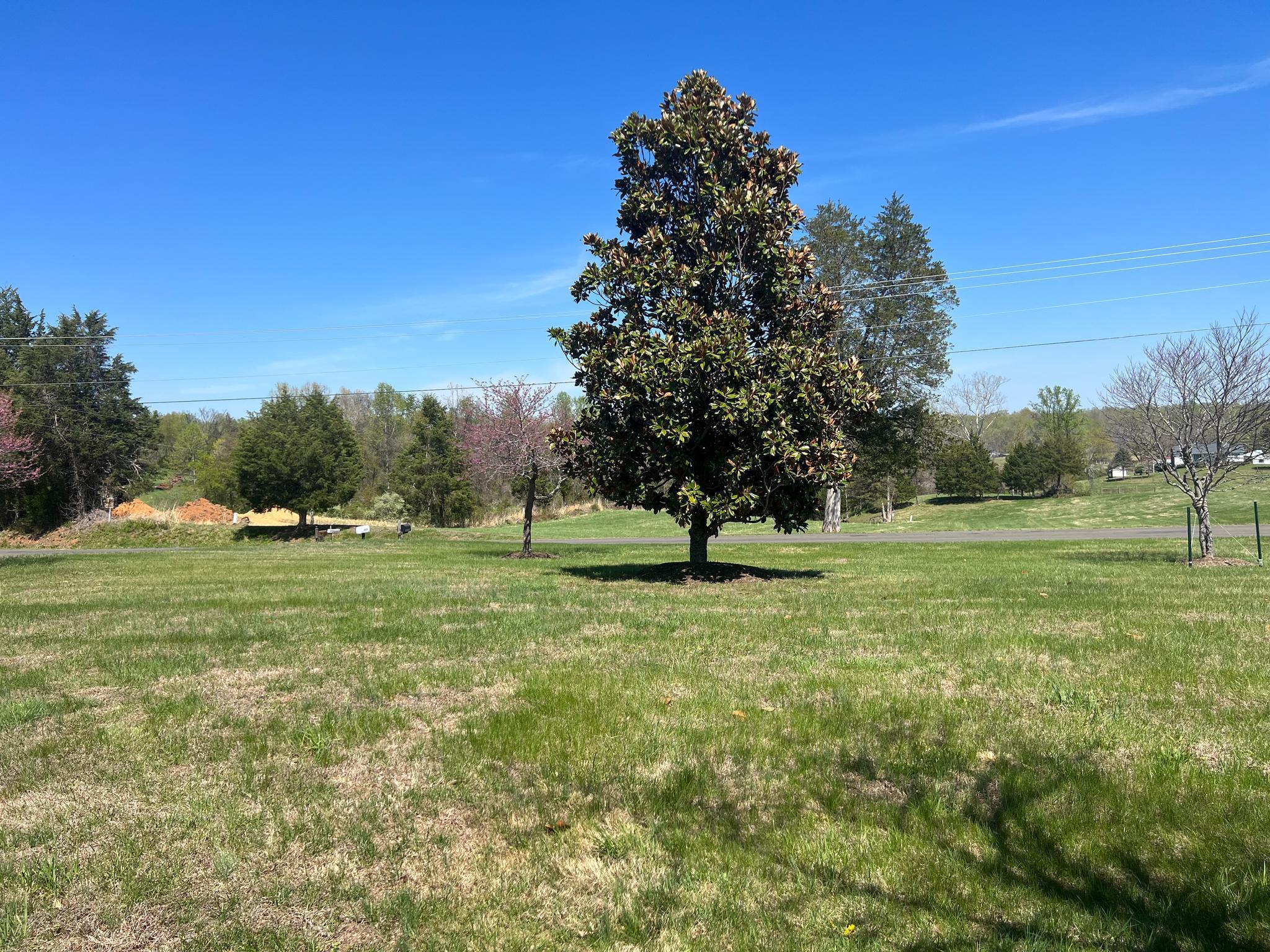 5265 Bear Hollow Ln Property Photo 36