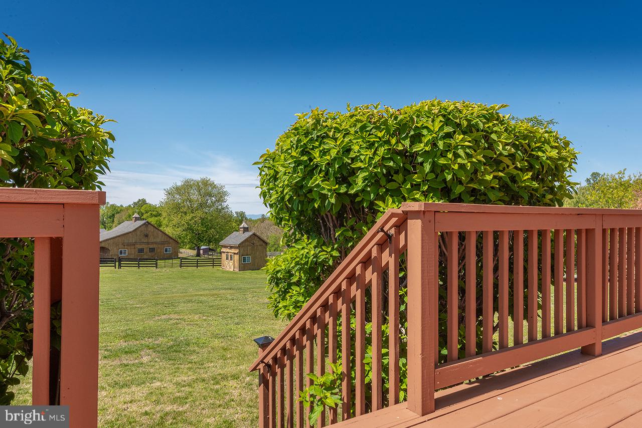 5265 Bear Hollow Ln Property Photo 89