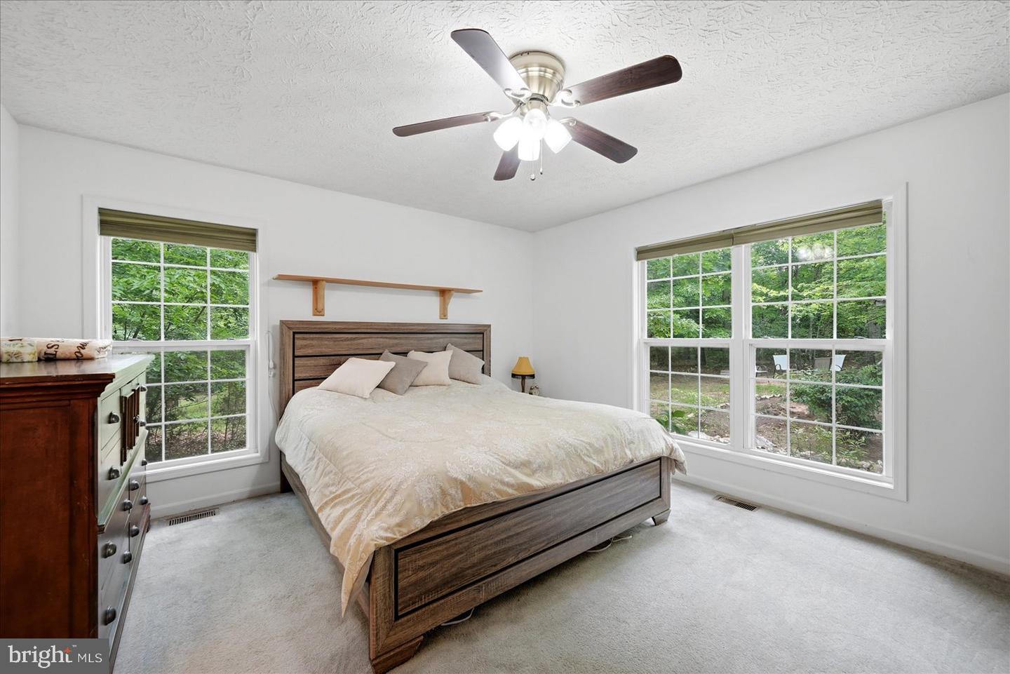 34254 Richards Ferry Rd Property Photo 12