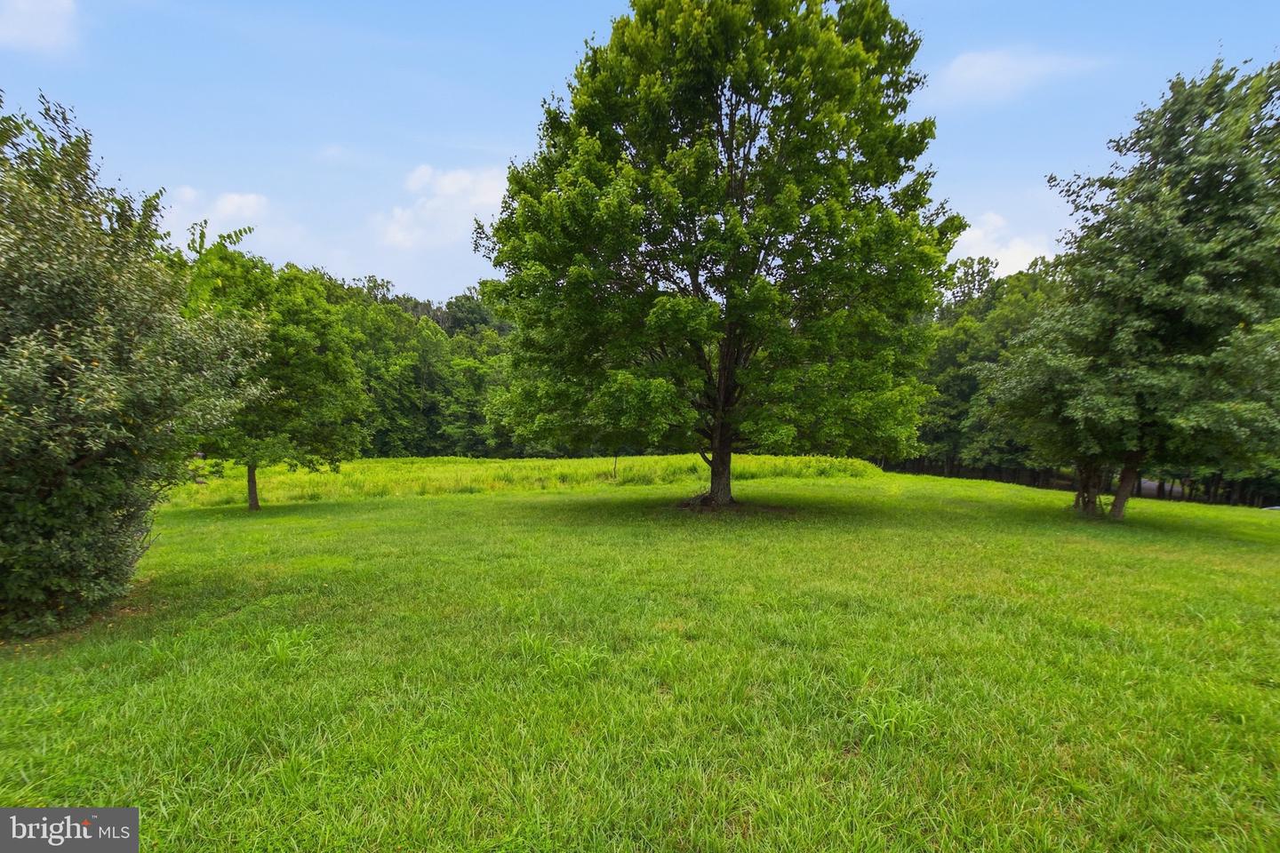 4407 Indian Run Rd Property Photo 8