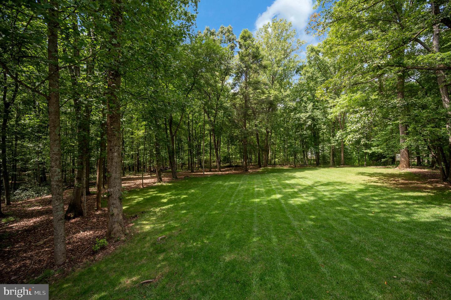 15234 Rillhurst Dr Property Photo 55