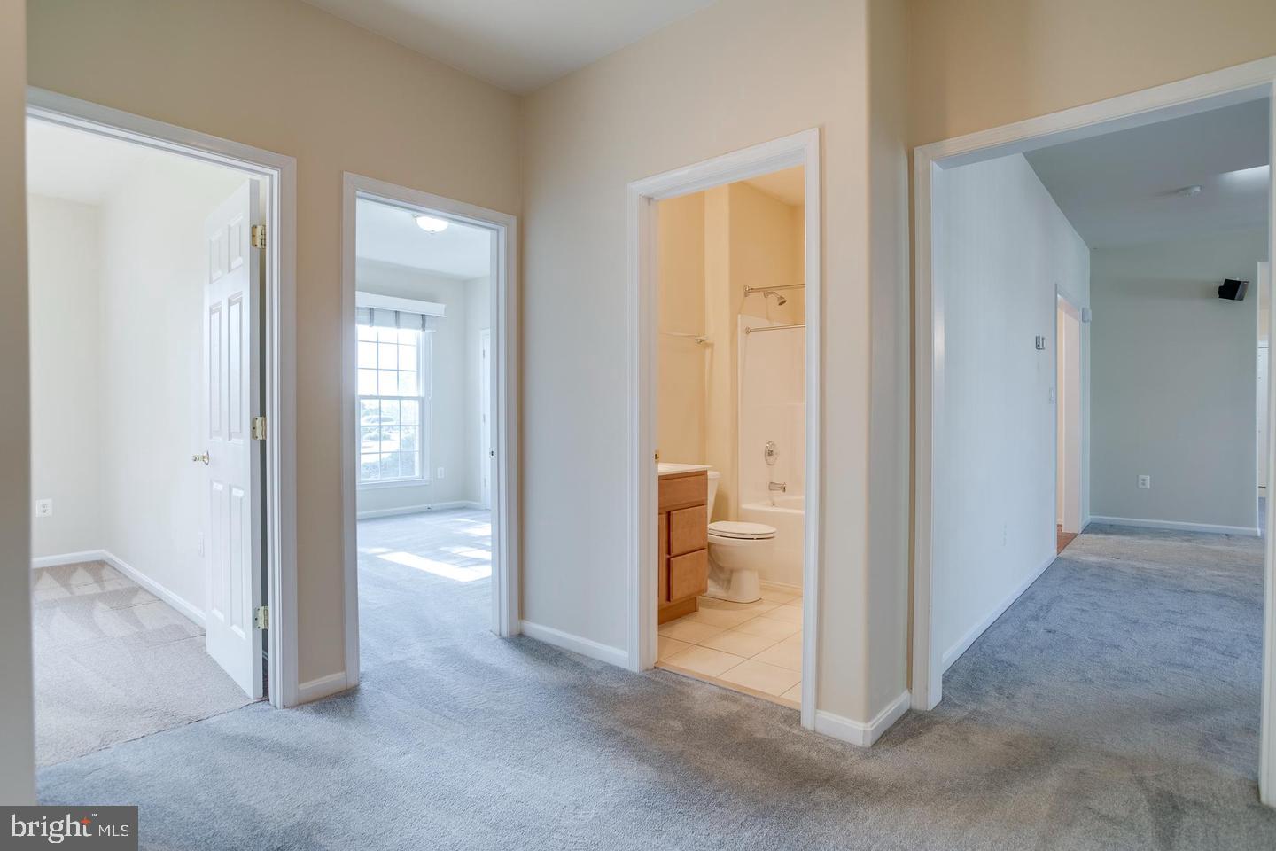 14308 S Hall Ct Property Photo 24