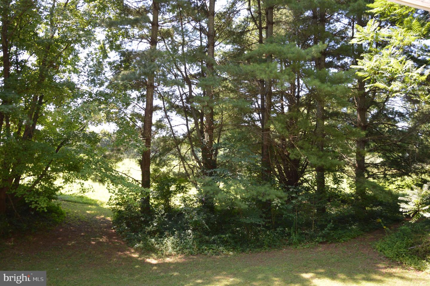 12368 Rixeyville Rd Property Photo 33